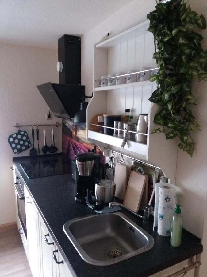 Ferienwohnung Auf Dem Land Dittersbach Экстерьер фото